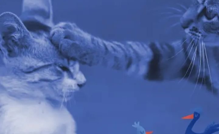 Key Aspects of Interacting with Blue Cats in Dreams: