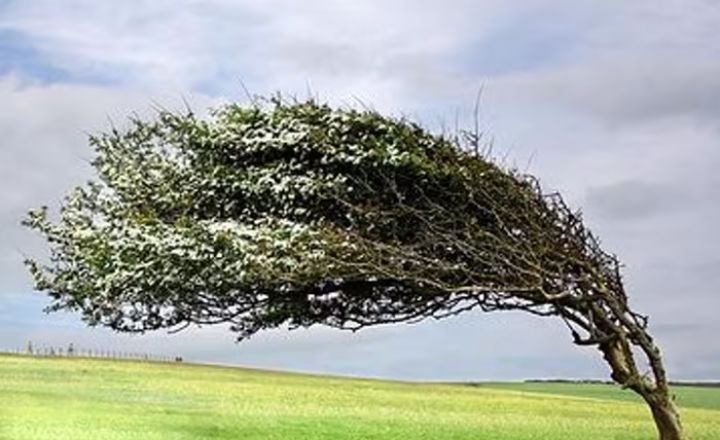 Resilience Building: Bending Without Breaking